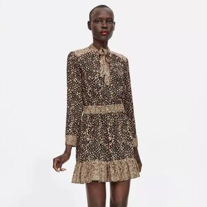 Zara leopard-print dress, size S.